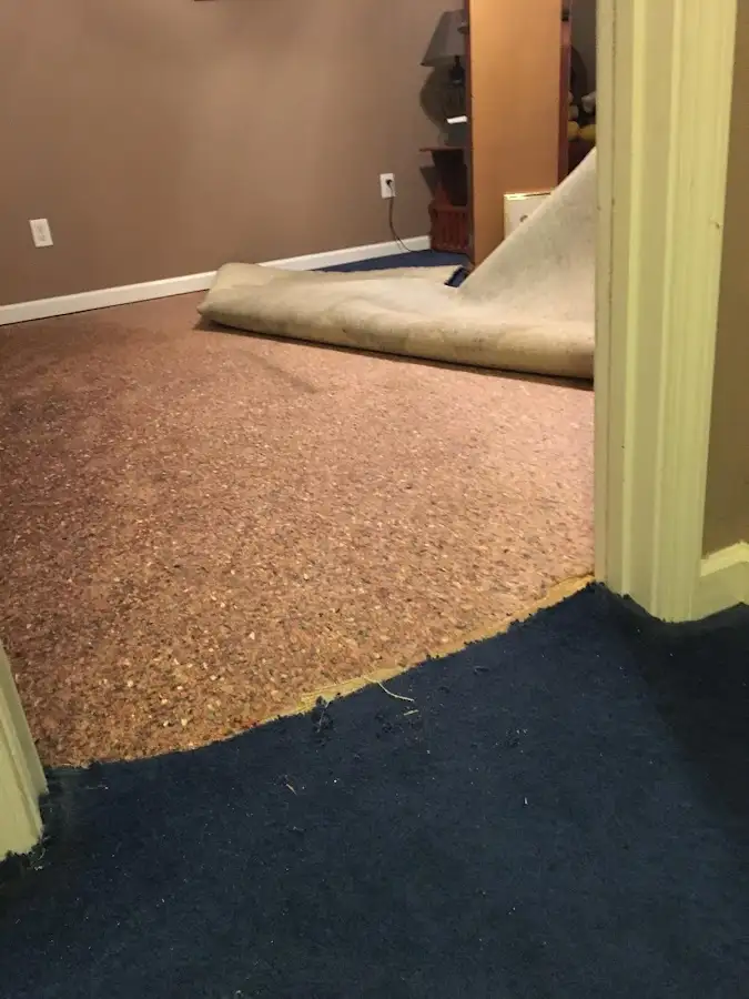 Carpet pad removal revealing water damage during Drying & Dehumidification in Port Clinton