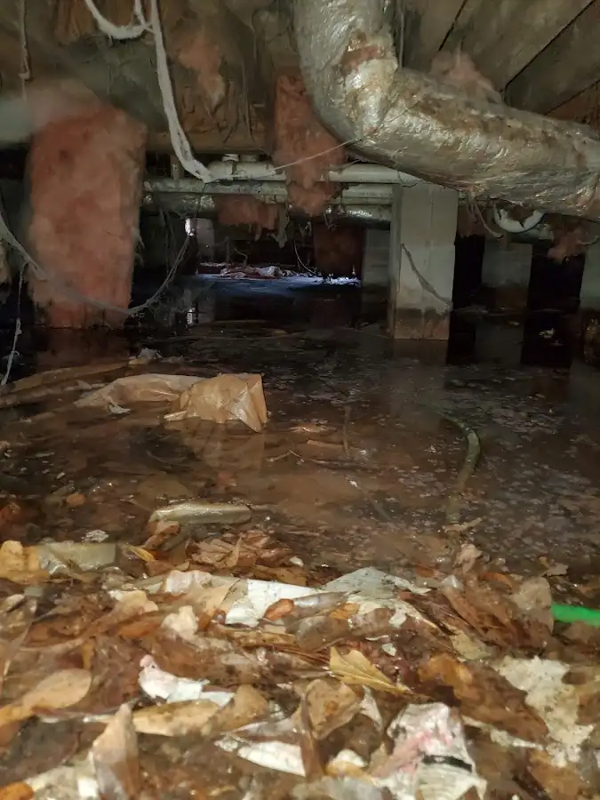 Crawl space flood assessment for Commercial Water Damage Restoration in Port Clinton